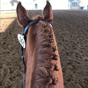 Meet your Posher, Morgan